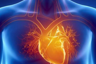 animación de cuerpo con corazon