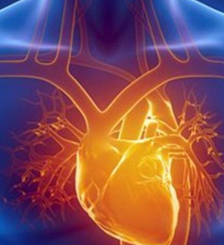 animación de cuerpo con corazon