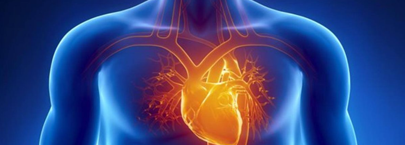 animación de cuerpo con corazon