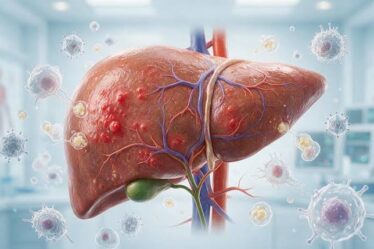 animación que representa los tipos de hepatitis