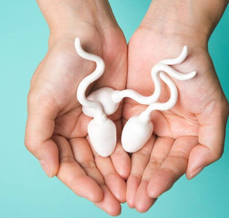 manos con animación de espermatozoides que representan la fertilidad masculina
