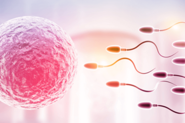 fertilidad femenina