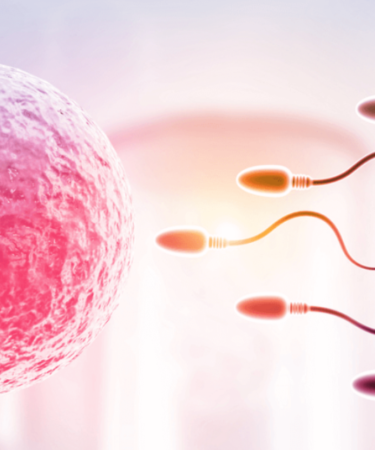 fertilidad femenina