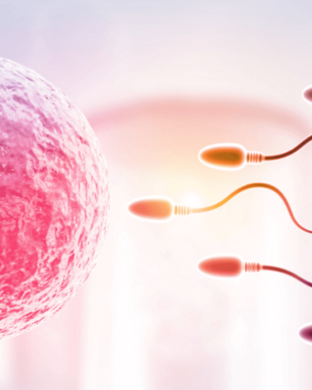 fertilidad femenina